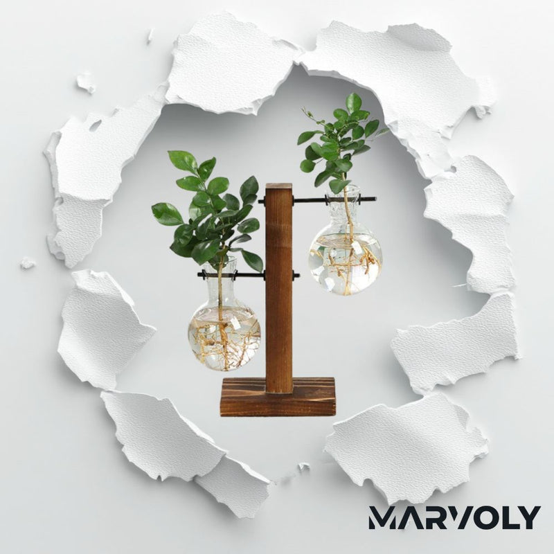 GlassGarden - The Hydroponic Transparent Plant Vases from MARVOLY